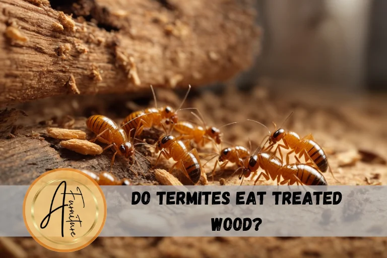 Do Termites Eat Treated Wood